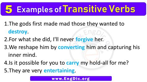 five example of transitive verb in sentence
