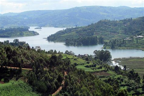 five examples of vegetation in uganda