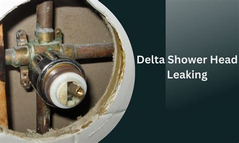 Fix A Leaking Delta Shower Head