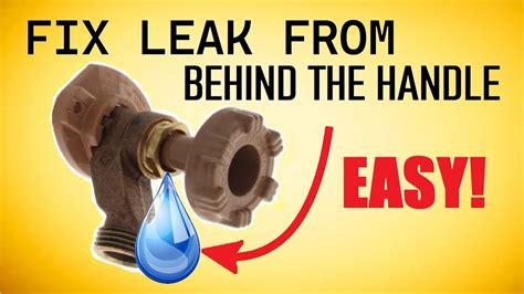 Fix Faucet Hose Leak