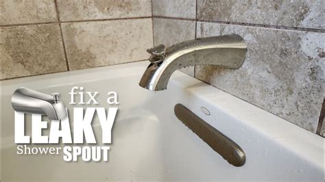 Fix Leaking Shower Spout