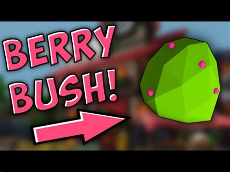 fix raspberry bushes · Roblox Islands Feedback