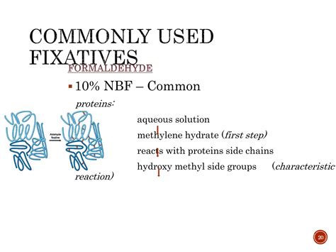 Fixation And Fixatives