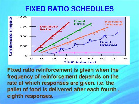 fixed ratio schedule example