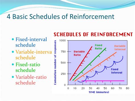fixed ratio variable ratio and fixed interval reinforcement schedules are all examples of