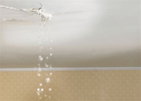 How to fix water leaking from ceiling Ideas by Mr Right