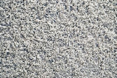 Selbst gemachter TeppichLufterfrischer, der Flöhe tötet. Mit ein paar