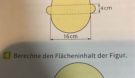 Rechteck: Flächeninhalt / Umfang (Klasse 7/8) - mathiki.de