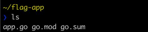 Flag Golang File
