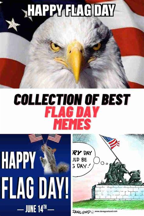 Flag Meme Image