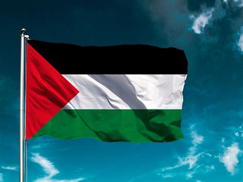 flag of palestine image