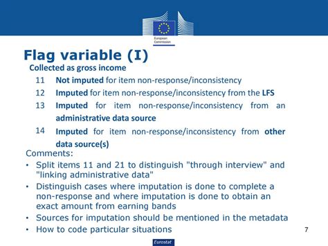 Flag Variable Definition