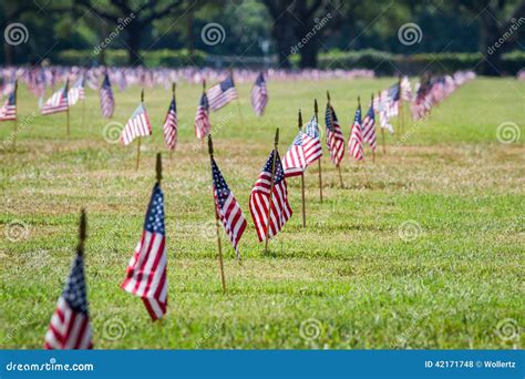 Flags For Veterans