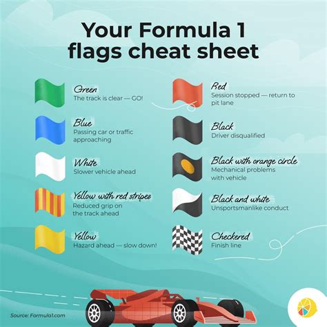 Flags Meaning F1