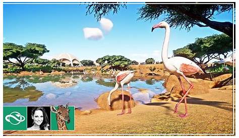 Flamingo Habitat (Link in Comments) : PlanetZoo | Zoo architecture, Zoo