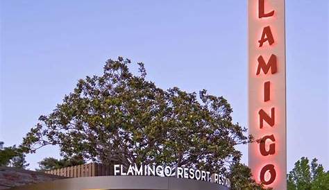 Santa Rosa, CA Getaway: Flamingo Resort and Spa