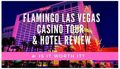 Flamingo Las Vegas Reopening Walking Tour in 4K - July 17, 2020 - YouTube
