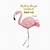 flamingo quotes for instagram