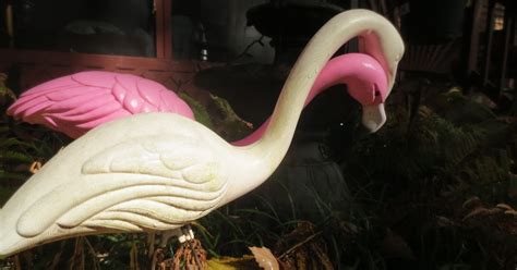flamingo becoming terrifying story