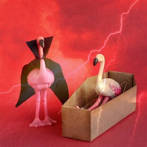flamingo becoming terrifying transformation