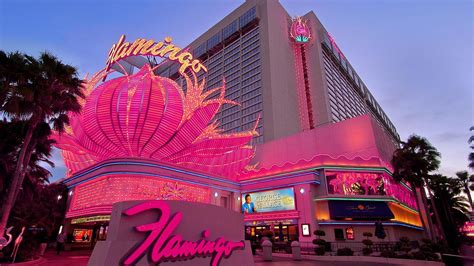 flamingo las vegas hotel and casino