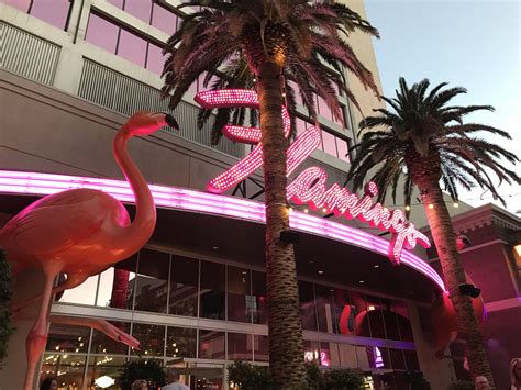 flamingo las vegas news