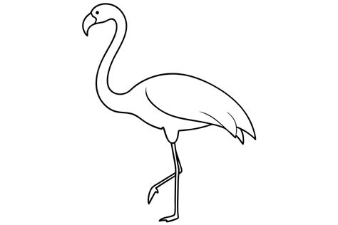 Flamingo line drawing
