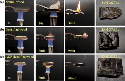 Image of a burning piece of wood