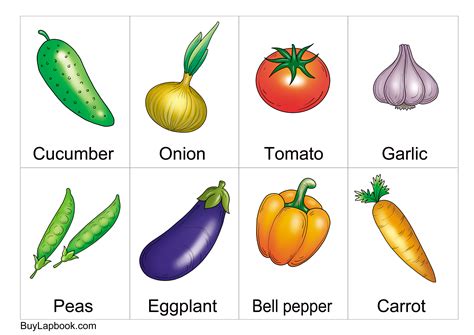 Flash Cards Vegetables
