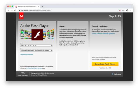 flash video downloader chrome