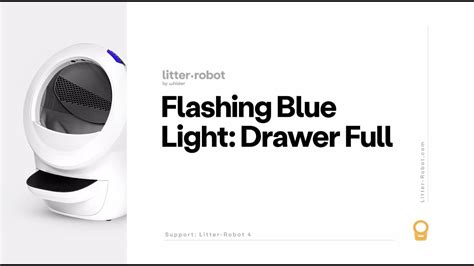 Flashing Blue Litter Robot