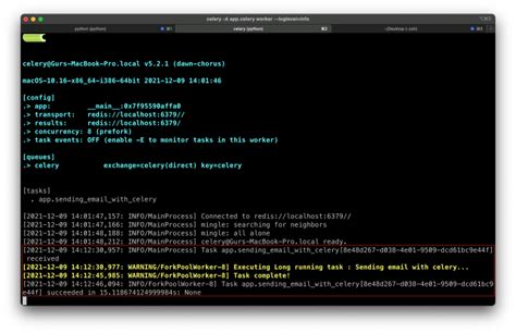 Flask Celery Multiple Queues