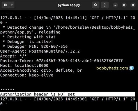 Flask Http Request Header