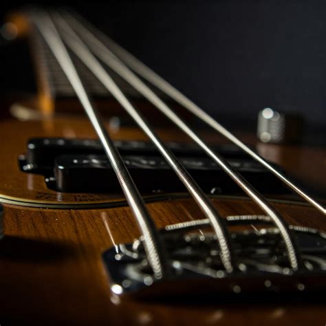 flat bass strings