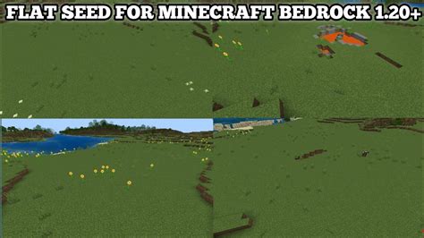 Flat Plains Seed Bedrock