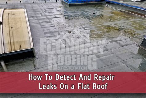 Flat Roof Leak Signs