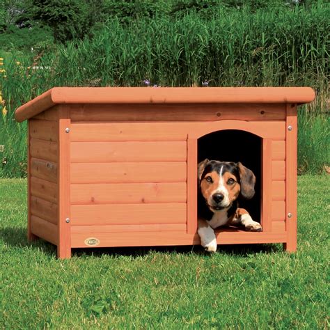 flat roof wooden dog kennel