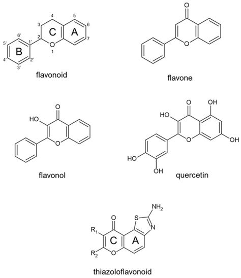 Flavonoid Antitumor Effect