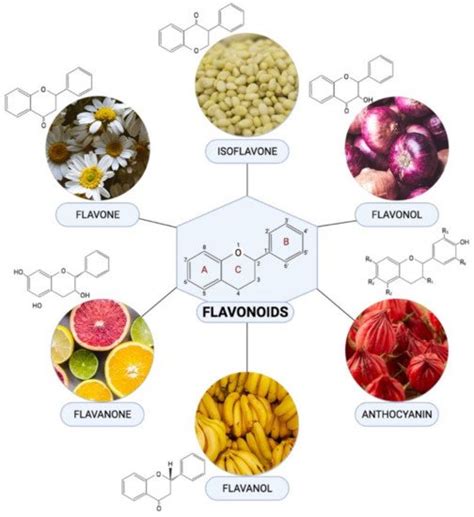 Flavonoid Main Function