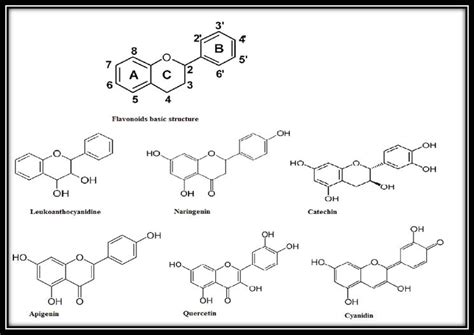 Flavonoids Deficiency