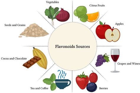 Flavonoids Definition And Examples