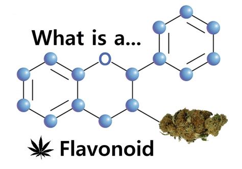 Flavonoids In Weed