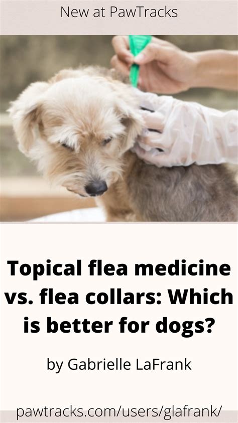 flea and tick collar vs topical