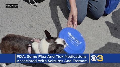 Flea Medicine Neurological Problems
