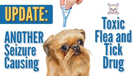 Flea Treatment Causing Seizures