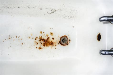 Hard Water Stains On Fiberglass Bathtub polisi