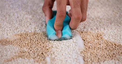 aufhören Nutzlos Dosis fleckentfernung schuhcreme teppich Schleifen