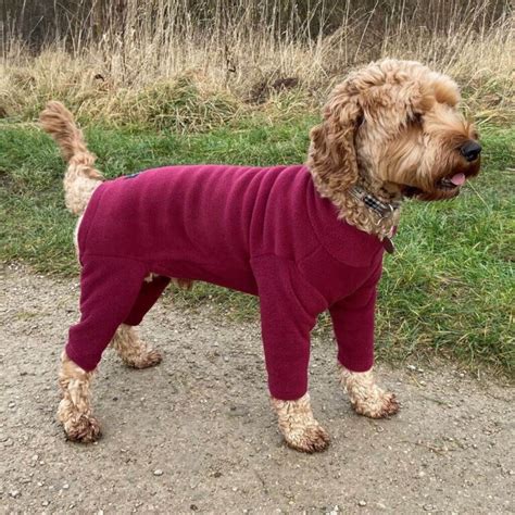 Fleece Dog Suit