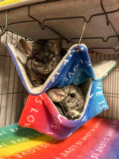 Fleece For Chinchillas
