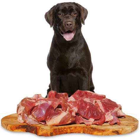 🥇Kaninchenfleisch für Hunde kaufen Barf Fleisch online bestellen